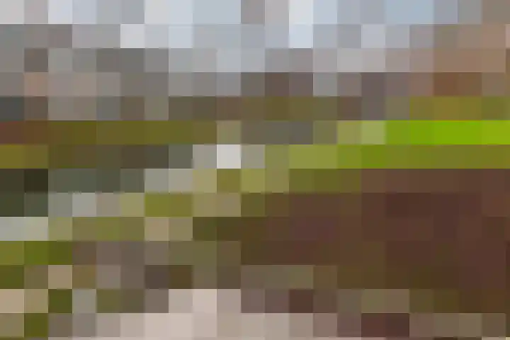 Goyastraat 25 Almere thumbnail 28