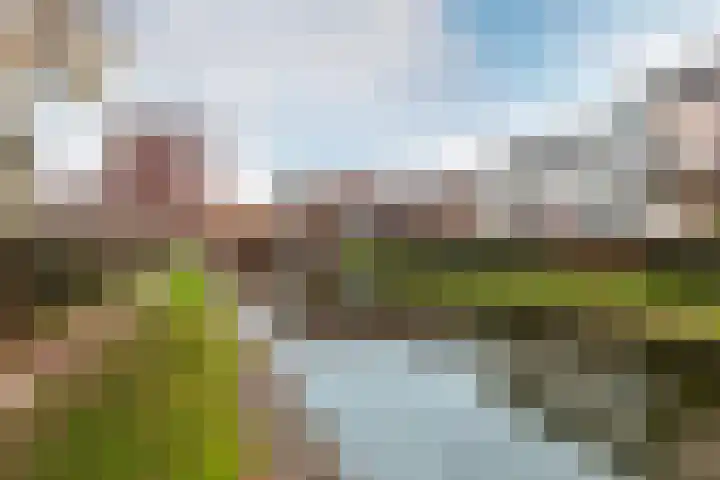 Goyastraat 25 Almere thumbnail 29