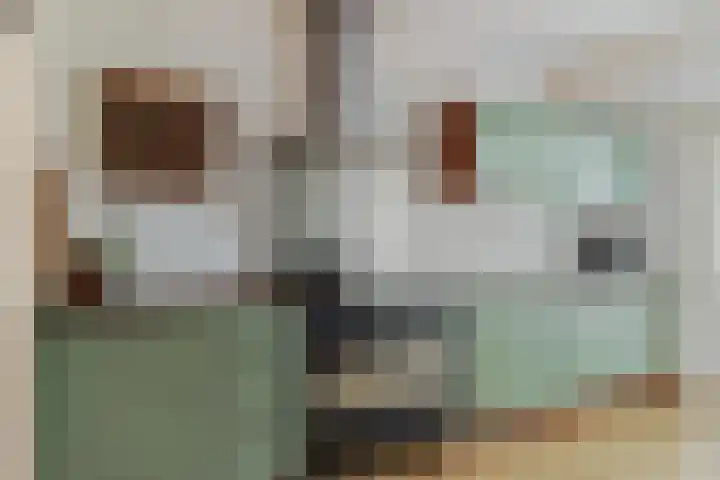 Goyastraat 9 Almere thumbnail 4