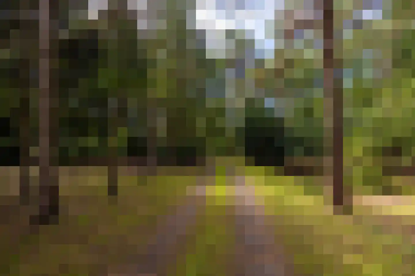 Goyergracht Zuid 17 Eemnes thumbnail 30