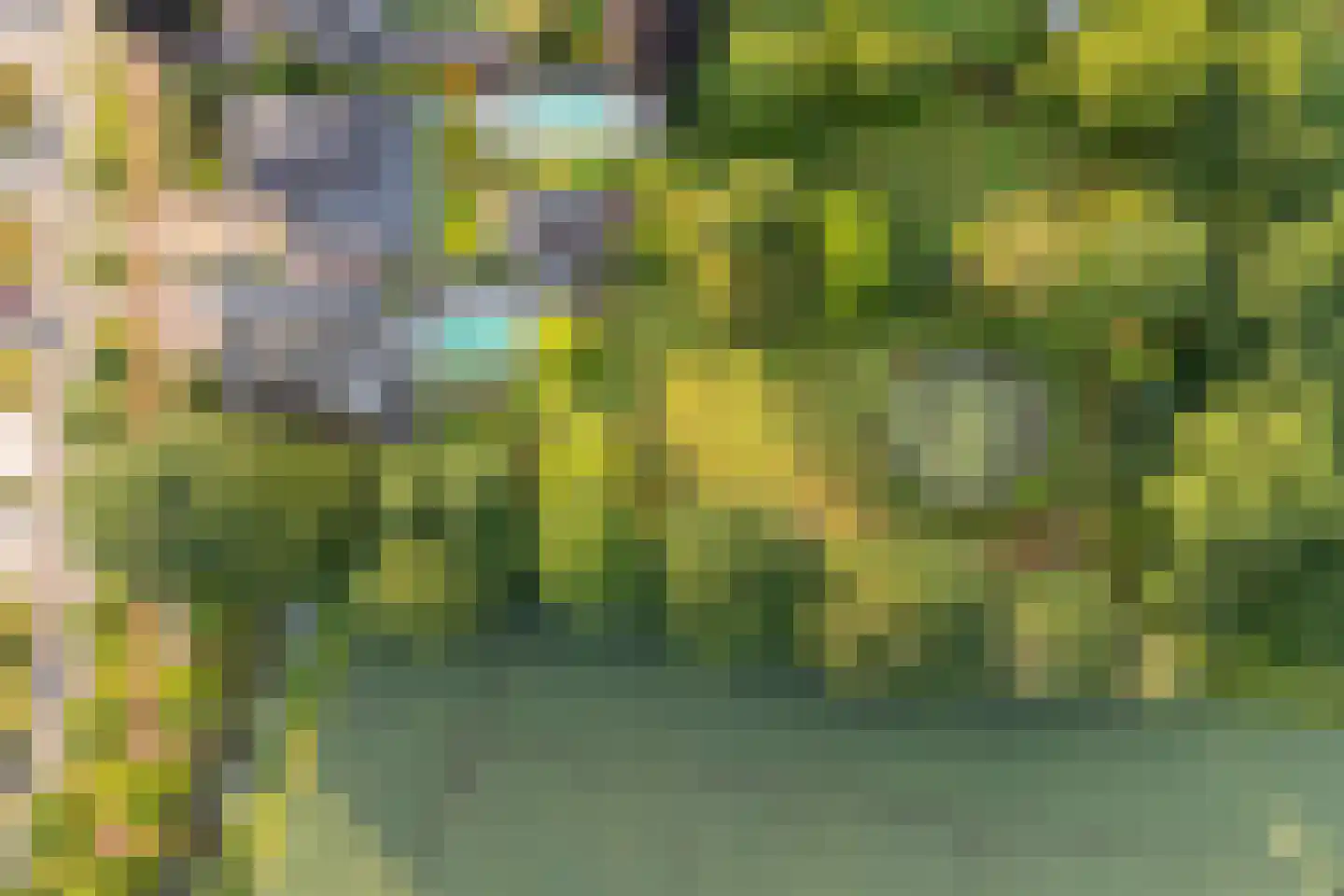 Gozelinusbocht 32 Bladel thumbnail 42
