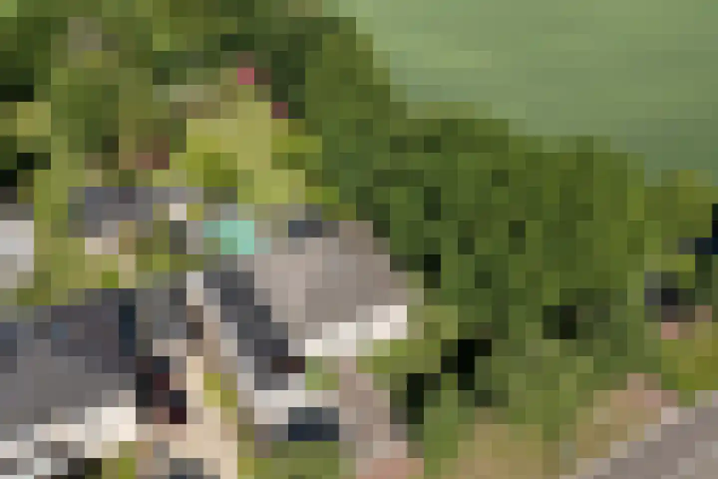 Gozelinusbocht 32 Bladel thumbnail 43