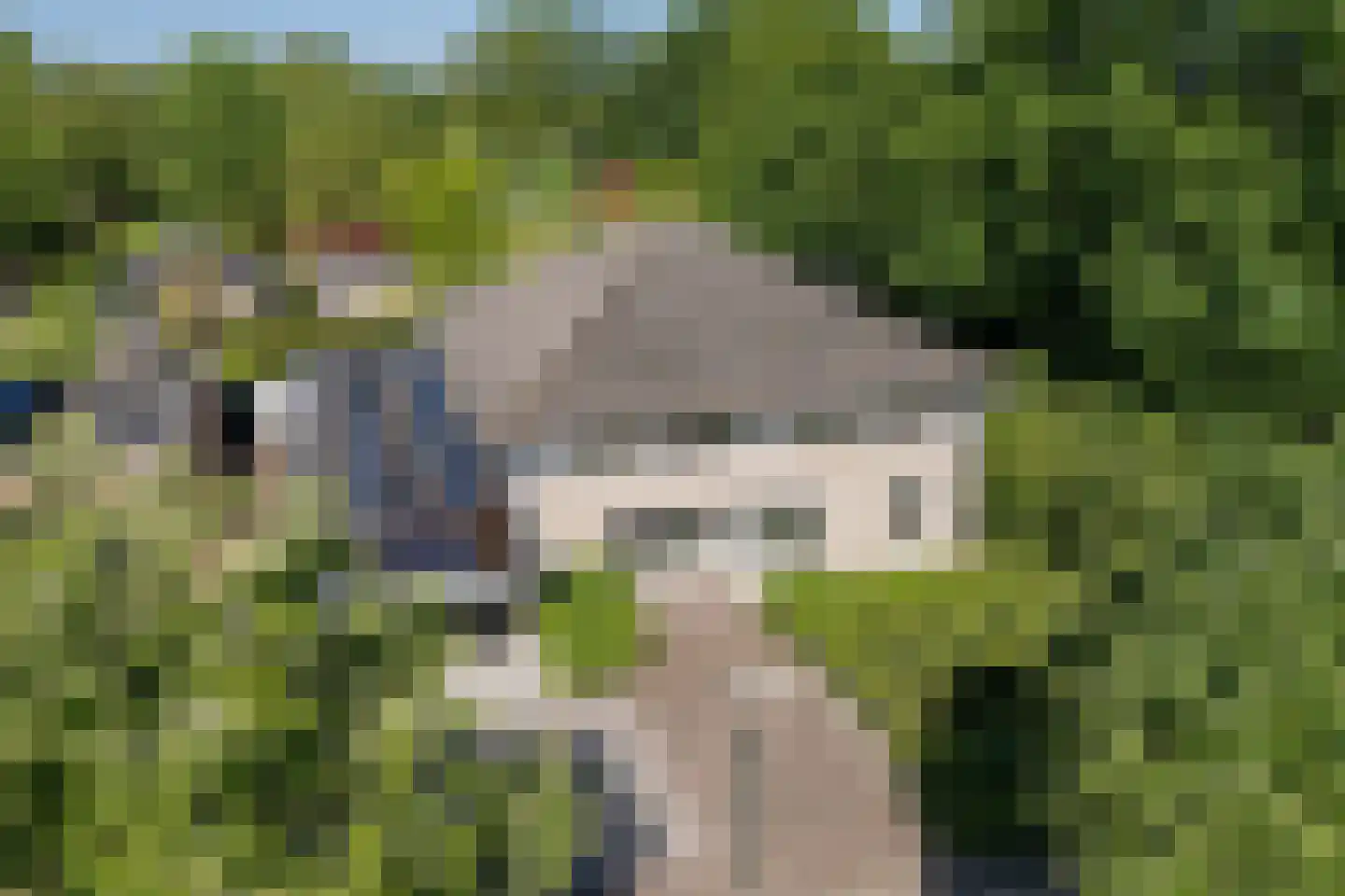 Gozelinusbocht 32 Bladel thumbnail 44