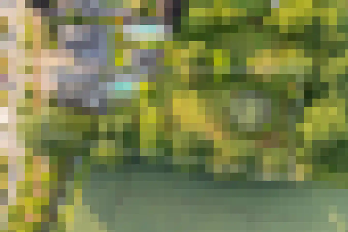Gozelinusbocht 32 Bladel thumbnail 5
