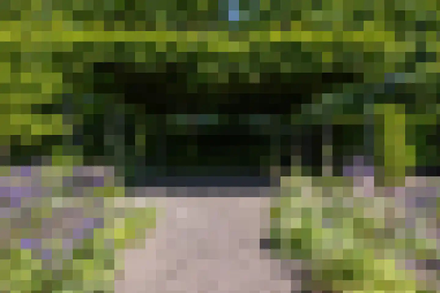 Gozelinusbocht 32 Bladel thumbnail 51