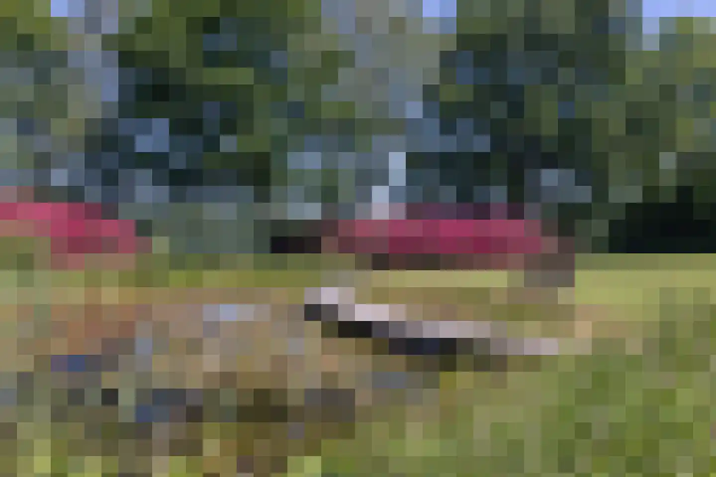 Gozelinusbocht 32 Bladel thumbnail 53
