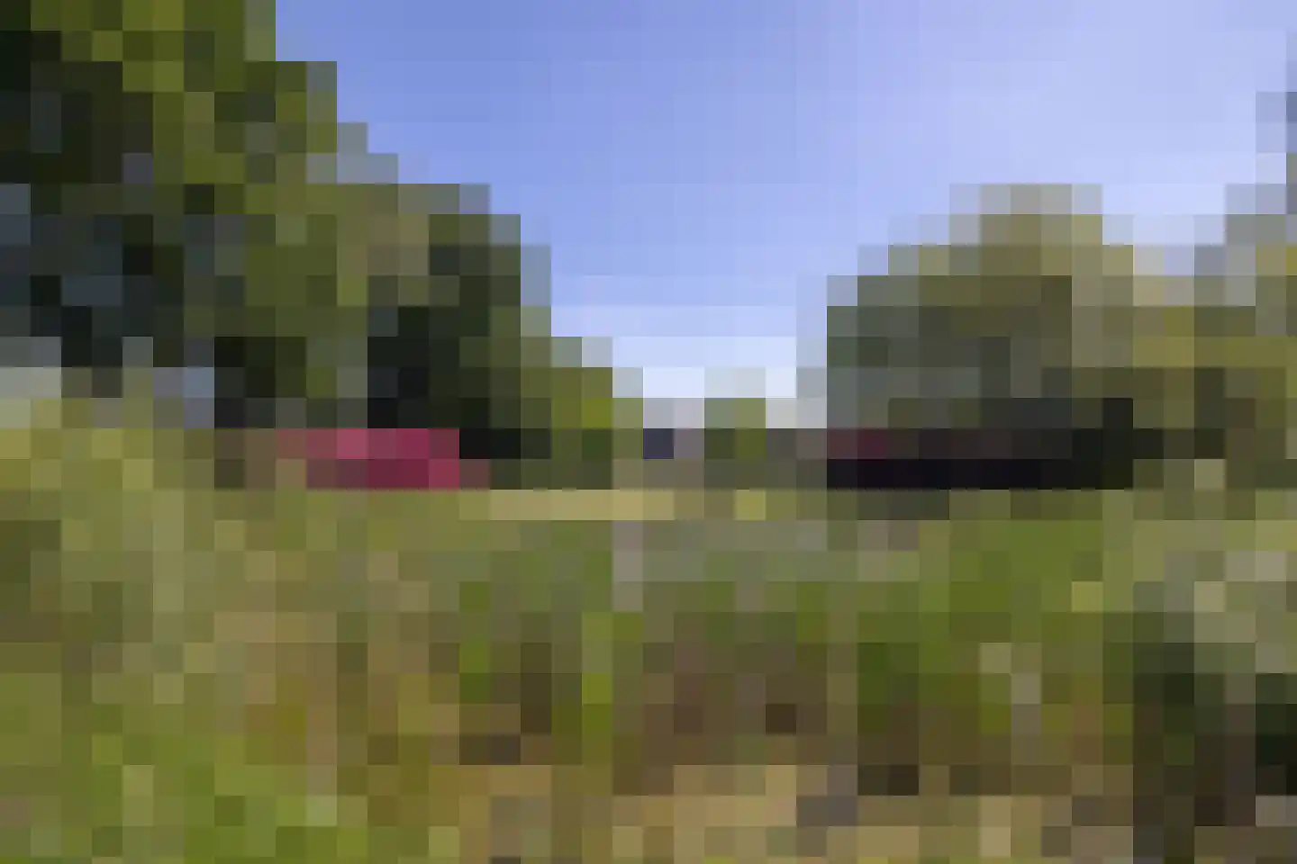 Gozelinusbocht 32 Bladel thumbnail 54