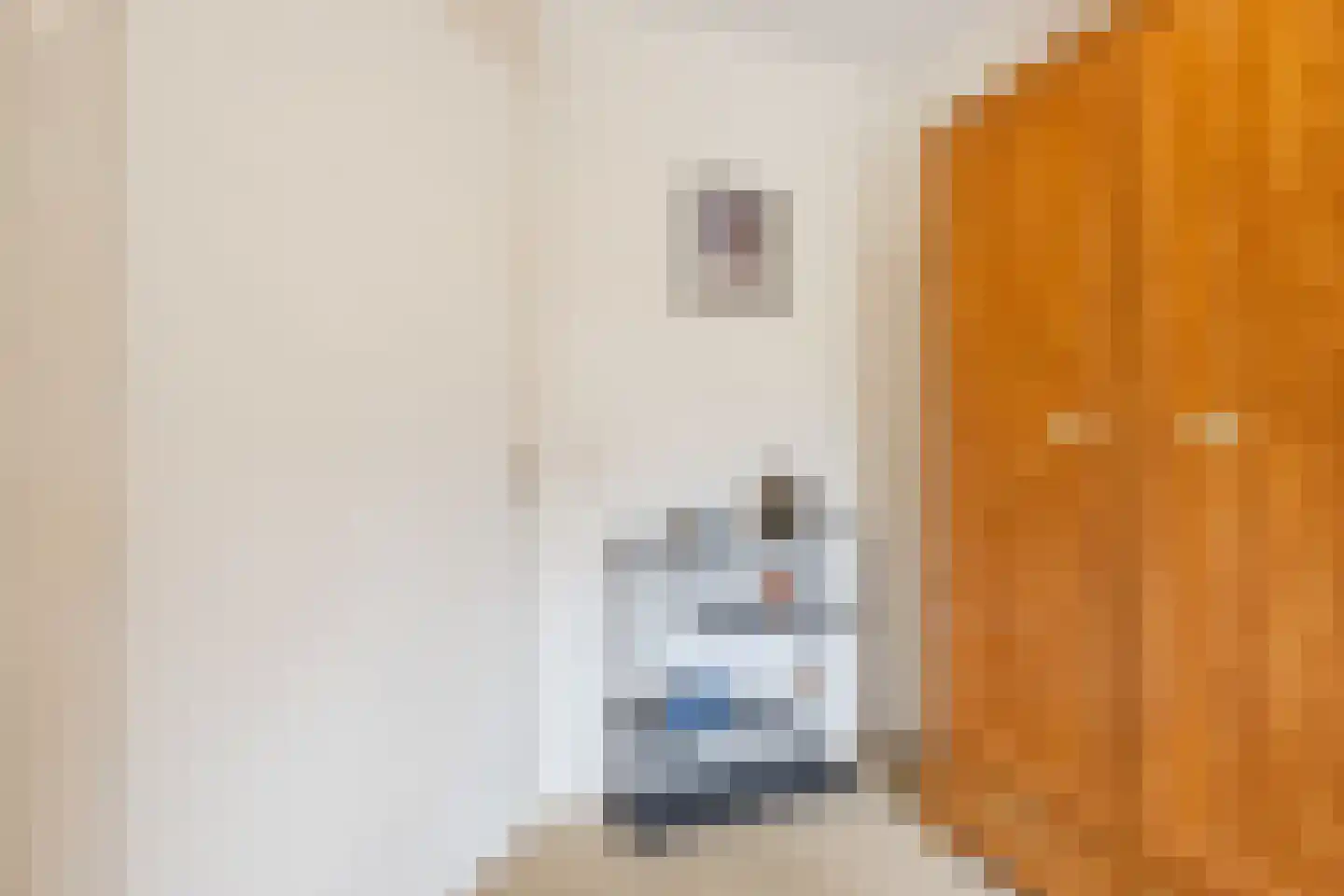 Gozem Gritterstraat 43 Daarlerveen thumbnail 24
