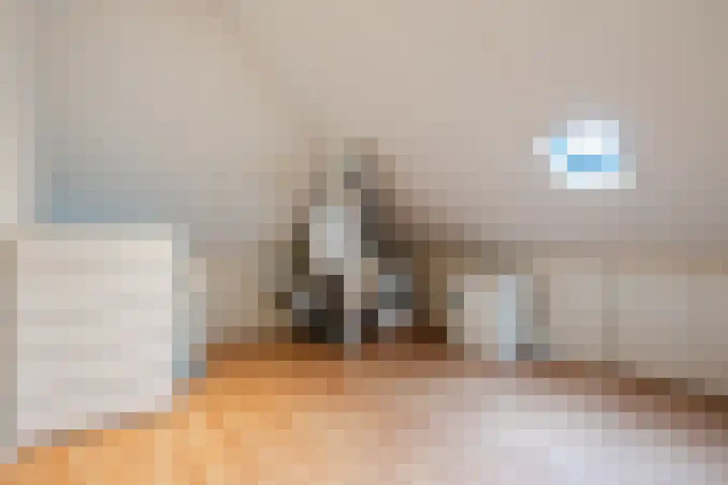 Gozem Gritterstraat 43 Daarlerveen thumbnail 29