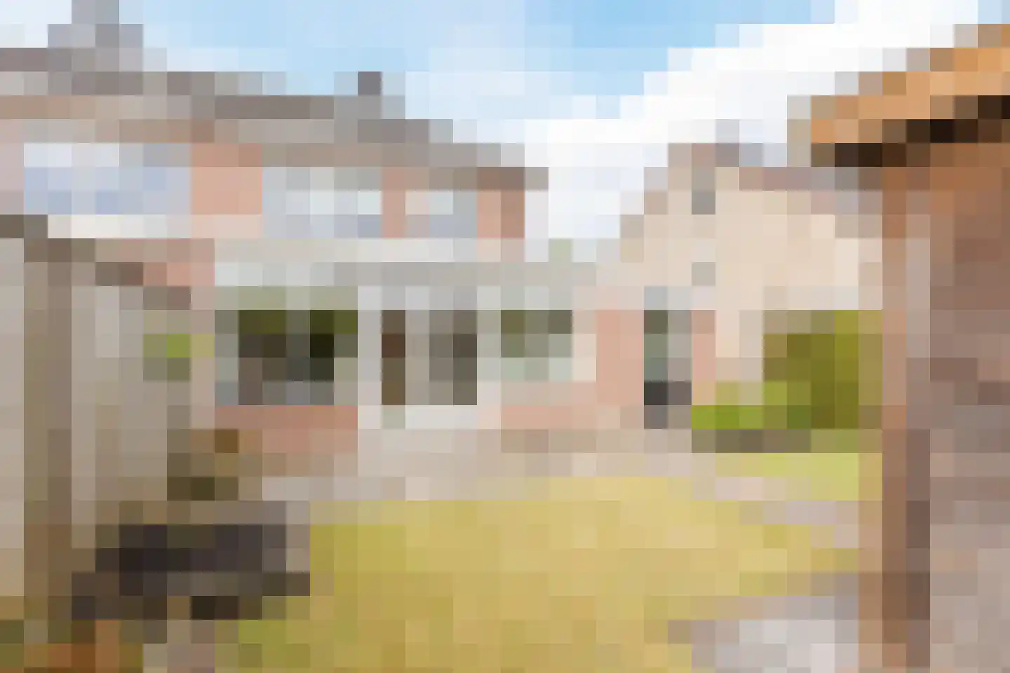Gozem Gritterstraat 43 Daarlerveen thumbnail 30