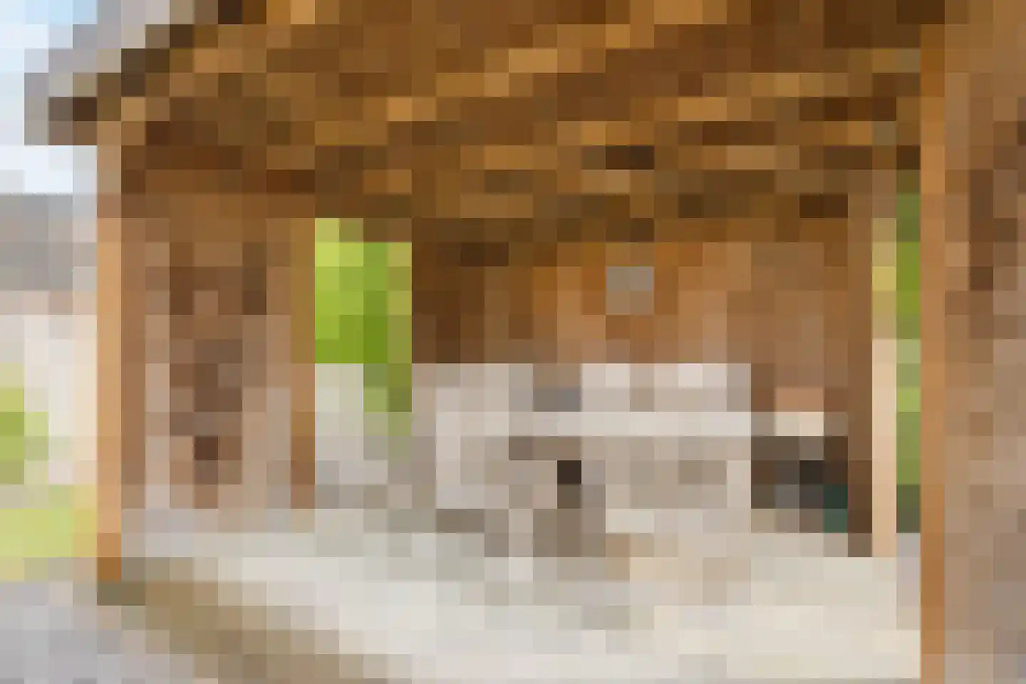 Gozem Gritterstraat 43 Daarlerveen thumbnail 32