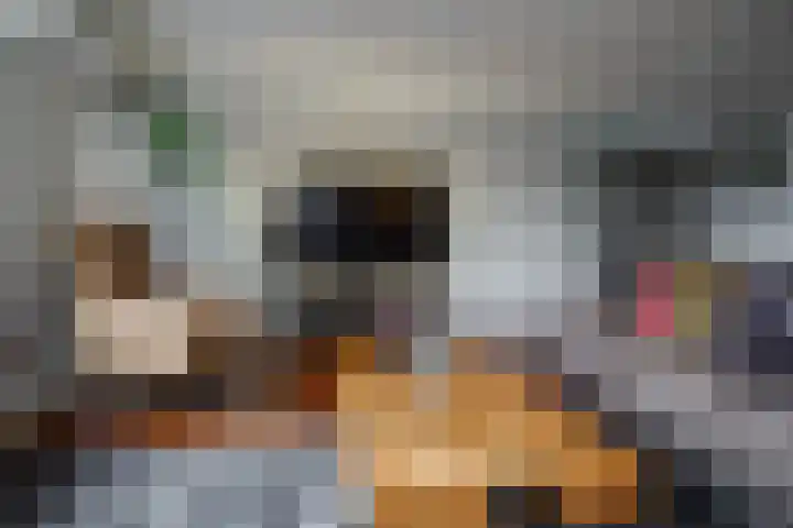Gozem Gritterstraat 45 Daarlerveen thumbnail 12