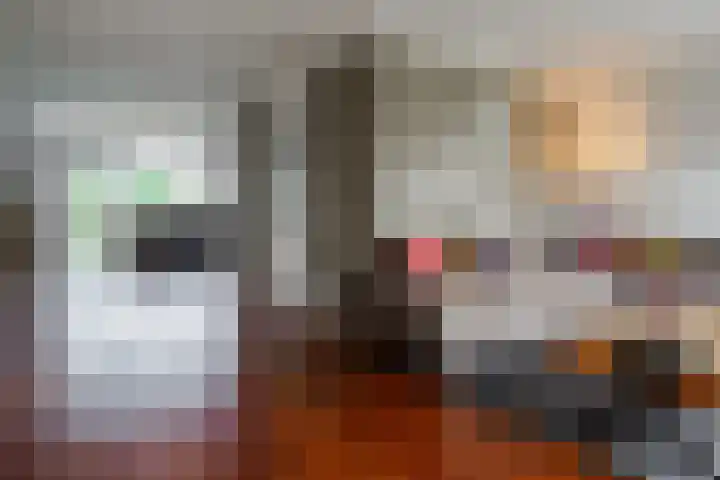 Gozem Gritterstraat 45 Daarlerveen thumbnail 13