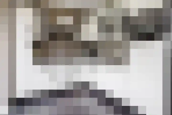 Gozem Gritterstraat 45 Daarlerveen thumbnail 16