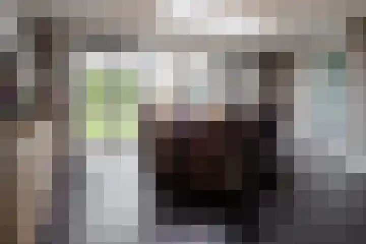 Gozem Gritterstraat 45 Daarlerveen thumbnail 19