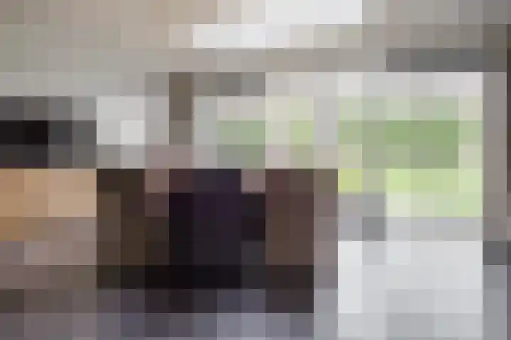 Gozem Gritterstraat 45 Daarlerveen thumbnail 20