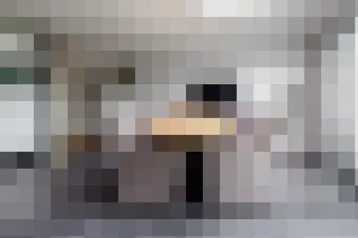 Gozem Gritterstraat 45 Daarlerveen thumbnail 21