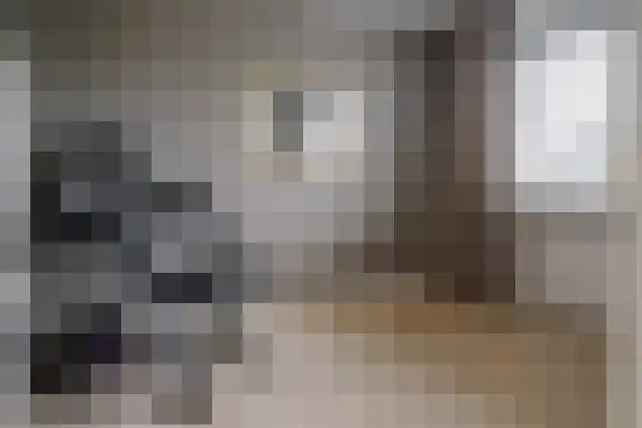 Gozem Gritterstraat 45 Daarlerveen thumbnail 27