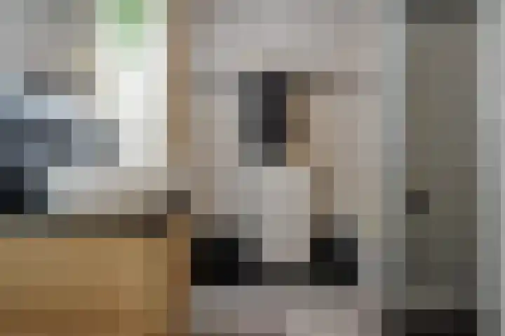 Gozem Gritterstraat 45 Daarlerveen thumbnail 31
