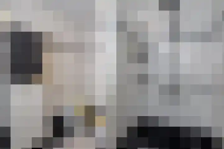 Gozem Gritterstraat 45 Daarlerveen thumbnail 33