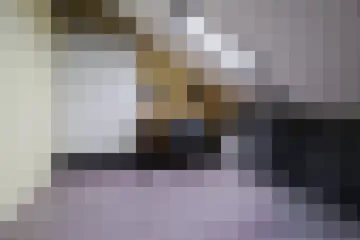 Gozem Gritterstraat 45 Daarlerveen thumbnail 34