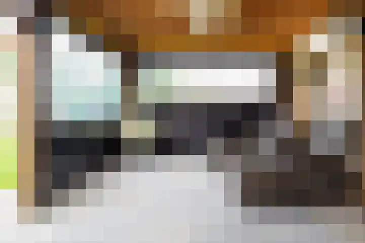 Gozem Gritterstraat 45 Daarlerveen thumbnail 38