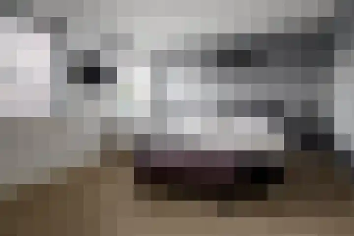 Gozem Gritterstraat 45 Daarlerveen thumbnail 4