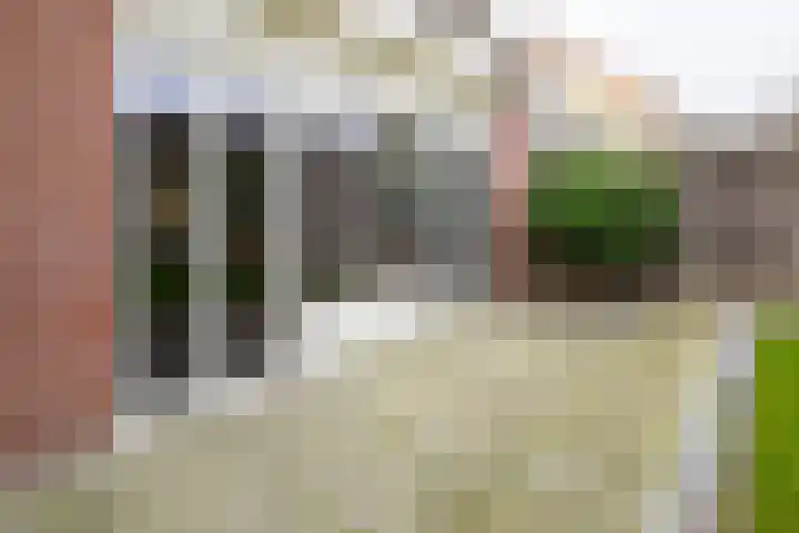 Gozem Gritterstraat 45 Daarlerveen thumbnail 40