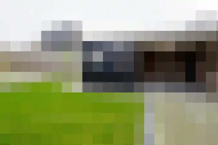 Gozem Gritterstraat 45 Daarlerveen thumbnail 41