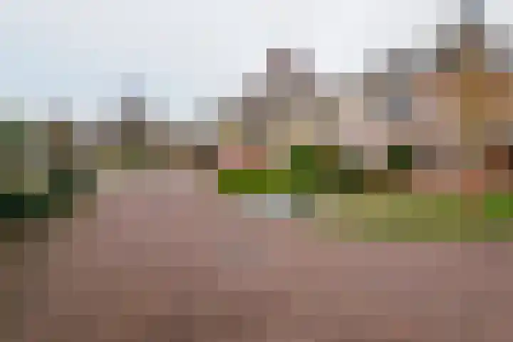 Gozem Gritterstraat 45 Daarlerveen thumbnail 45