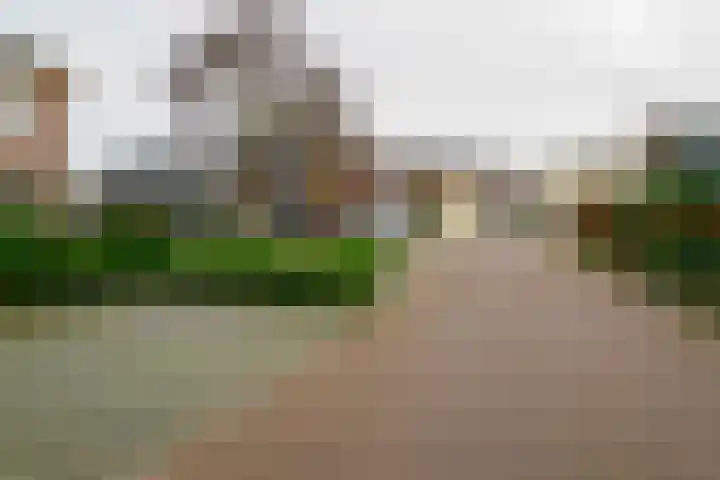 Gozem Gritterstraat 45 Daarlerveen thumbnail 47