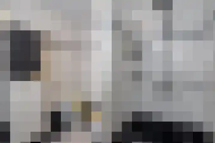 Gozem Gritterstraat 45 Daarlerveen thumbnail 5