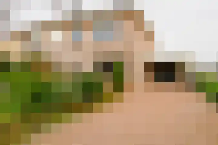 Gozem Gritterstraat 45 Daarlerveen thumbnail 7