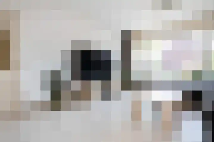 Gozewijnstraat 16 Kudelstaart thumbnail 10