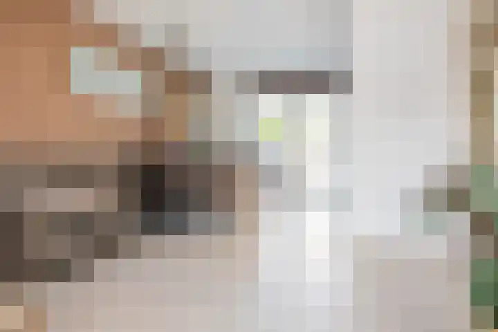 Gozewijnstraat 16 Kudelstaart thumbnail 11