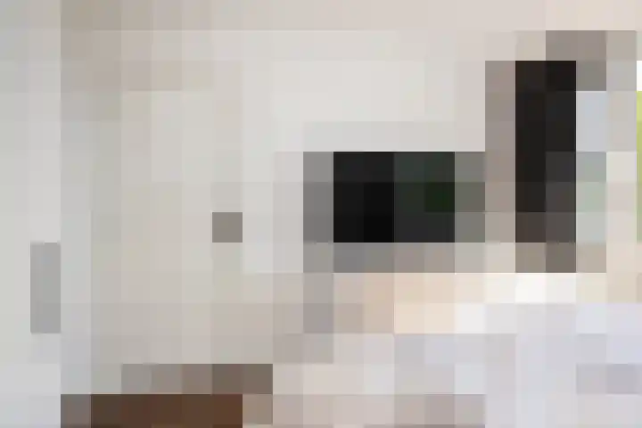 Gozewijnstraat 16 Kudelstaart thumbnail 31