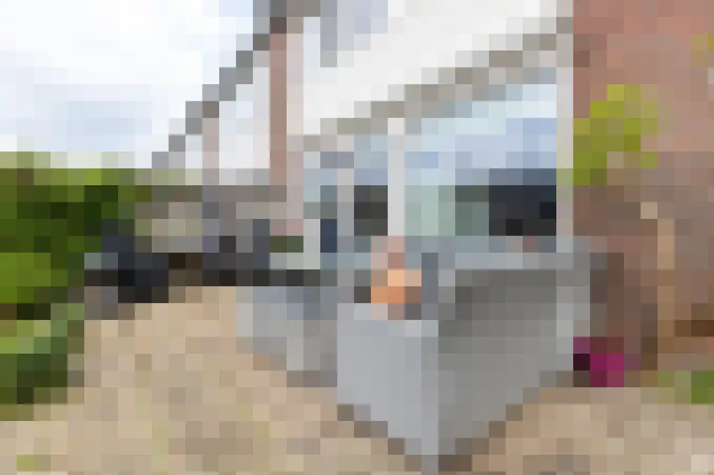 Gozewijnstraat 24 Kudelstaart thumbnail 15