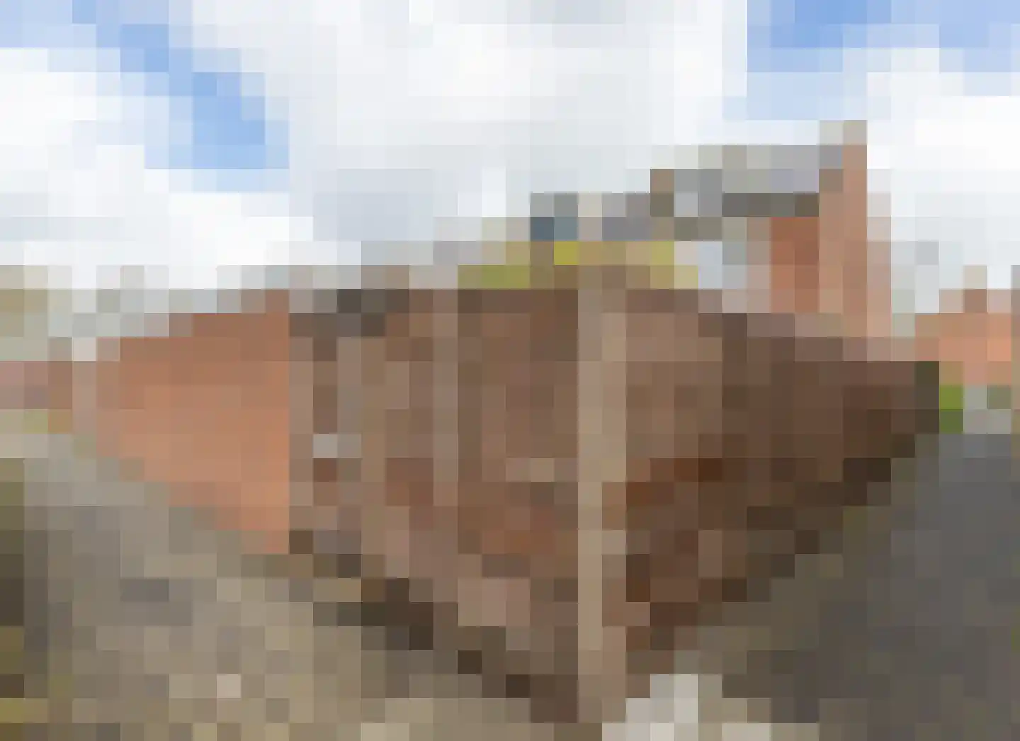 Gozewijnstraat 24 Kudelstaart thumbnail 36
