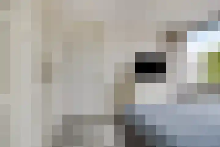 Gozewijnstraat 34 Kudelstaart thumbnail 18