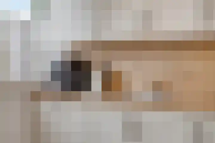Gozewijnstraat 34 Kudelstaart thumbnail 8