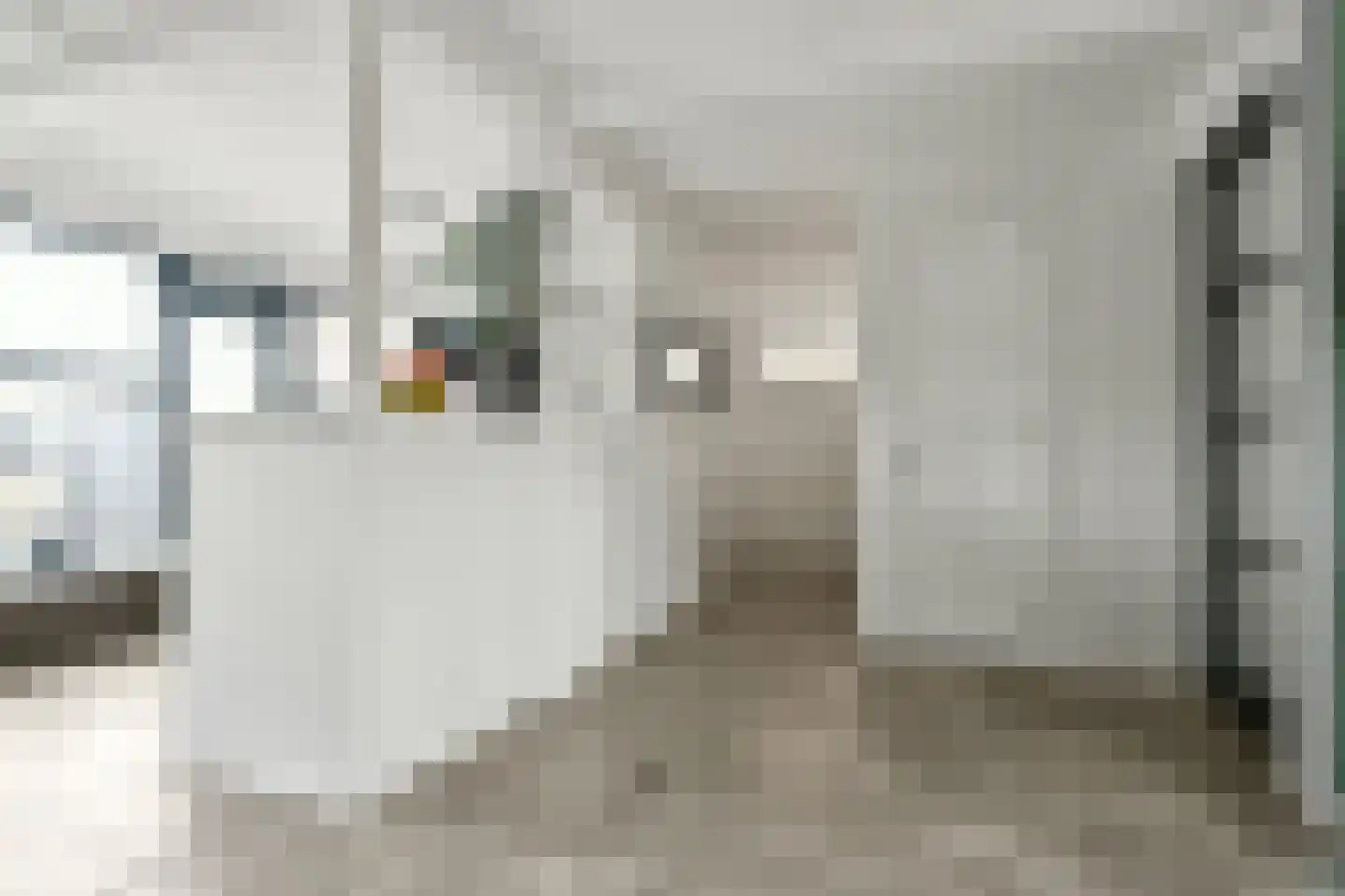Gozewijnstraat 38 Kudelstaart thumbnail 10