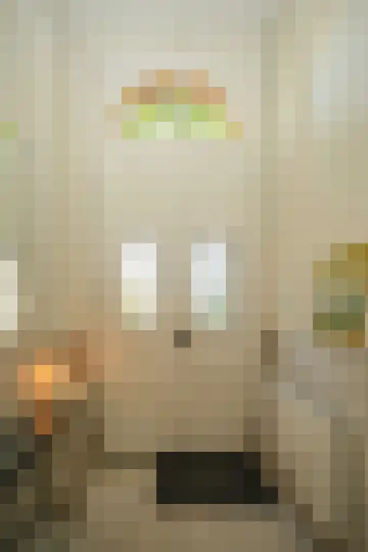 Graadt van Roggenstraat 14 Nijmegen thumbnail 5