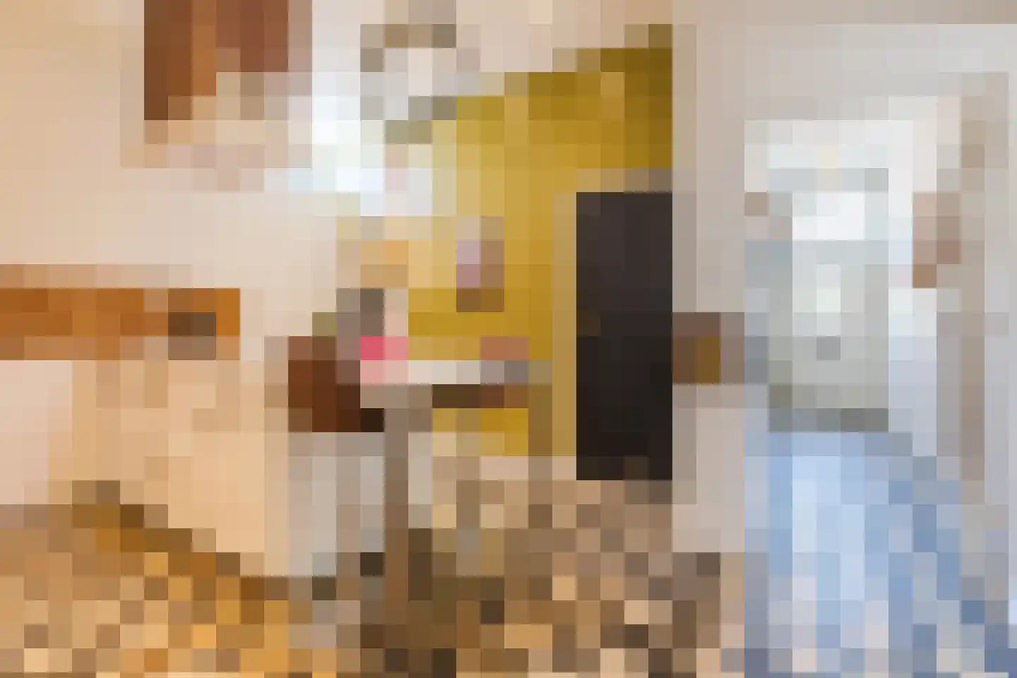 Graaf 21 Echt thumbnail 16