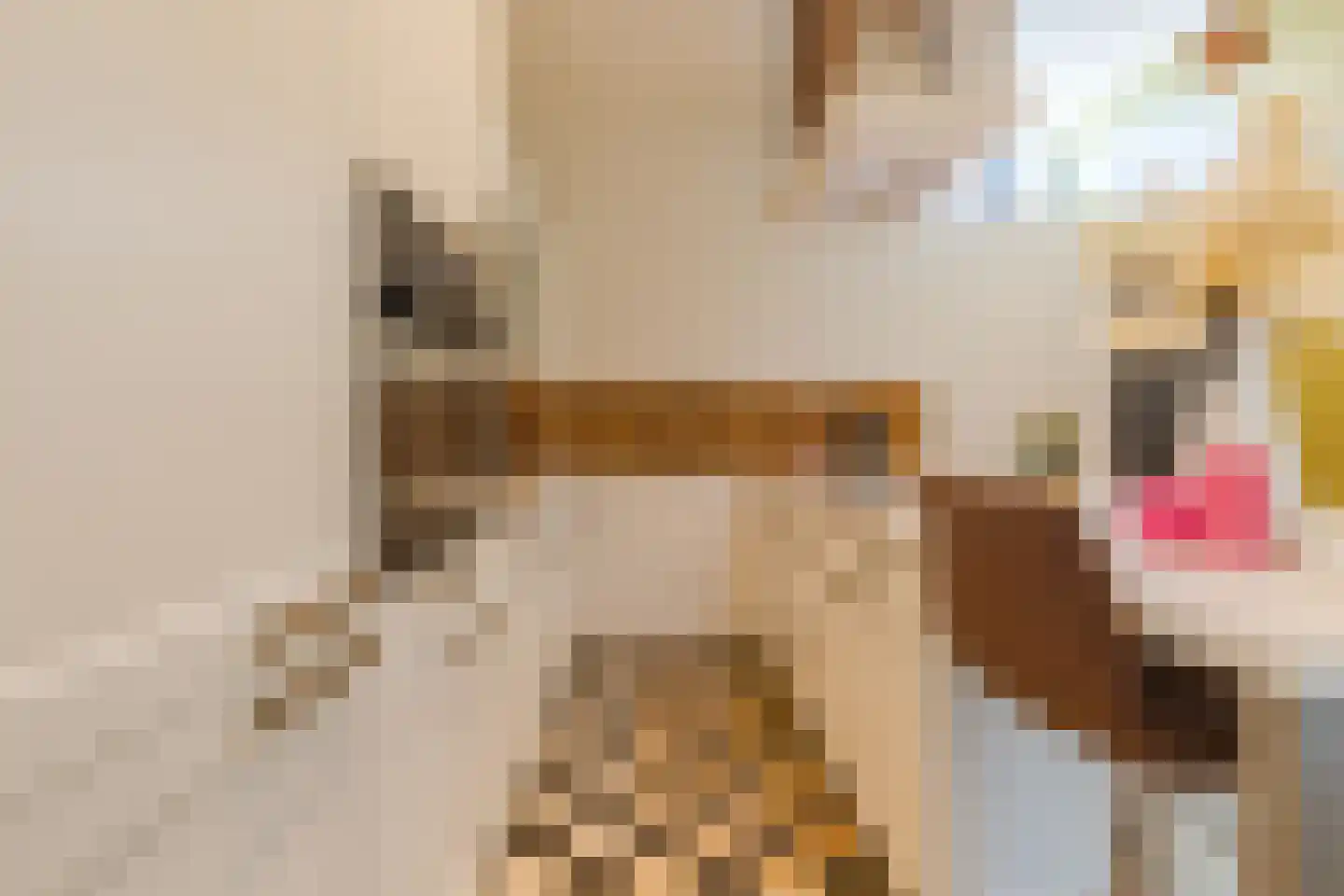 Graaf 21 Echt thumbnail 17