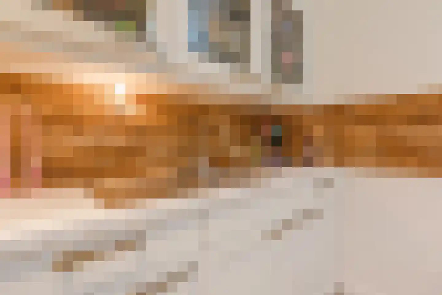 Graaf 21 Echt thumbnail 19
