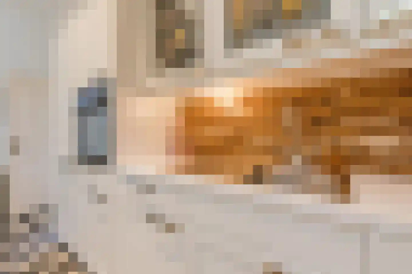 Graaf 21 Echt thumbnail 21