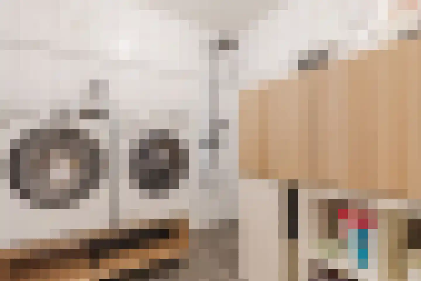 Graaf 21 Echt thumbnail 40