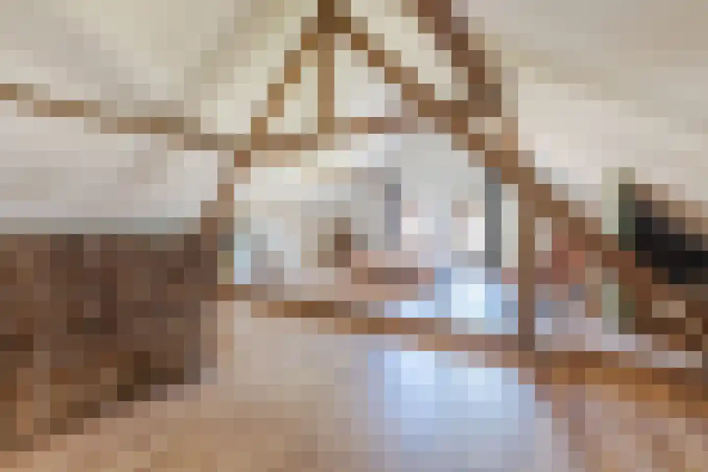 Graaf 21 Echt thumbnail 43
