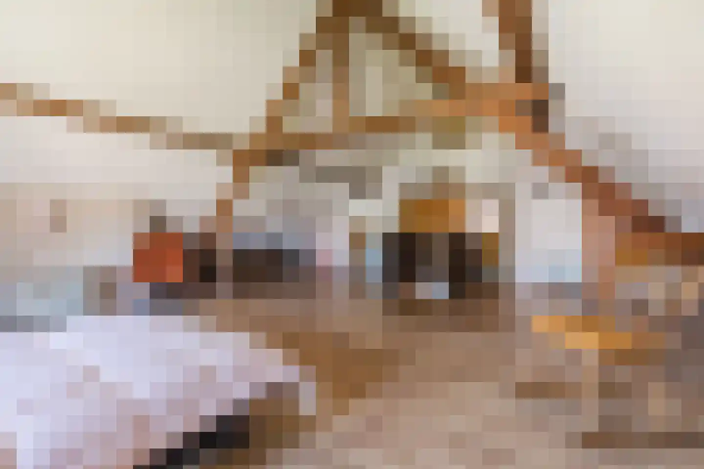 Graaf 21 Echt thumbnail 45