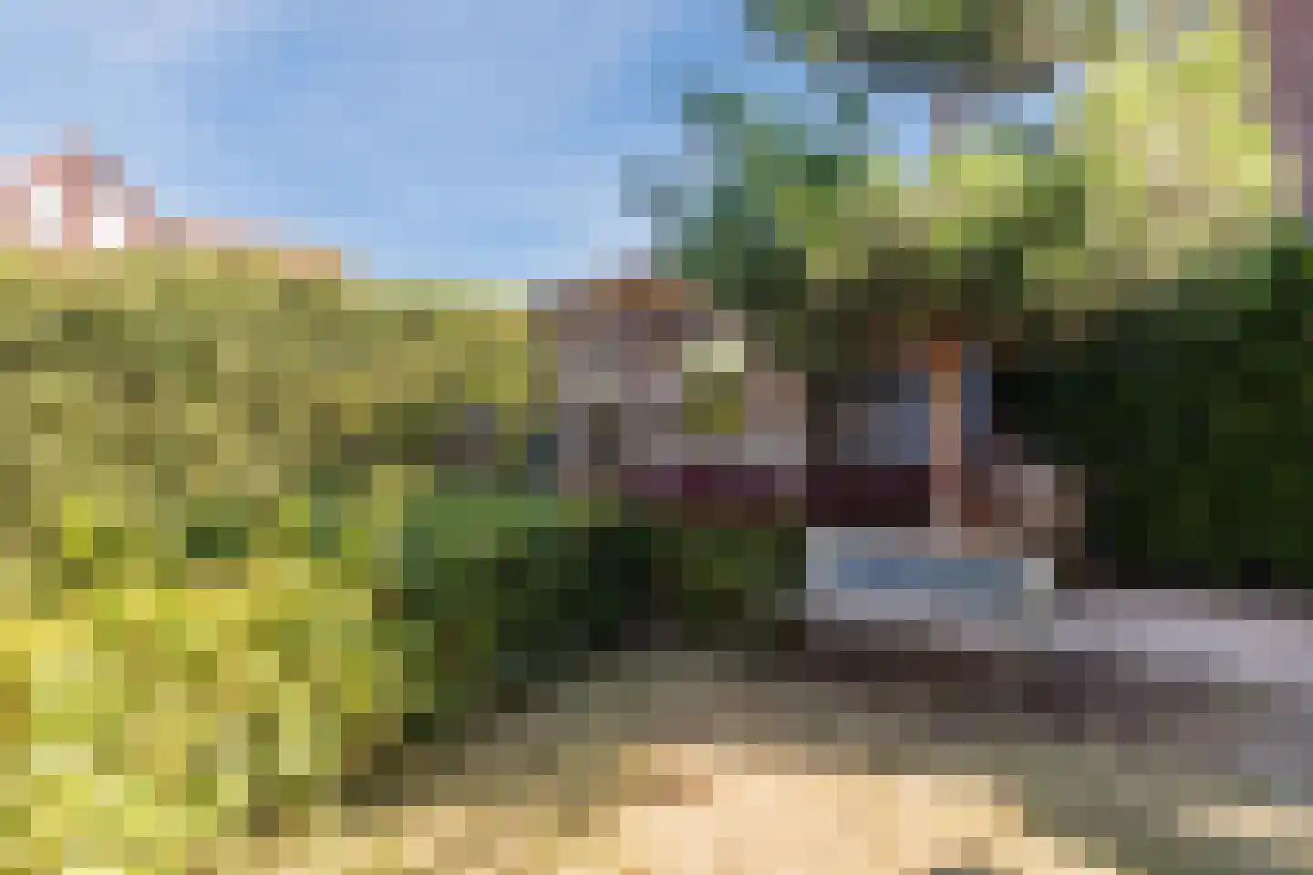 Graaf 21 Echt thumbnail 50